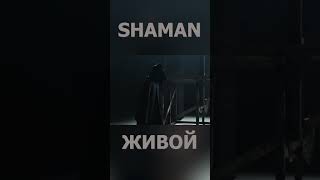 Shaman   Живой 4 #Shaman #Шаман #Живой