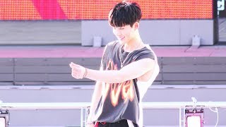 20180804 PiKONIC DAY iKON B.I | 피코닉 데이 아이콘 비아이 @반포 한강공원 예빛섬