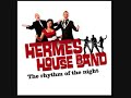 Hermes House Band - I Will Survive (lyrics in description)