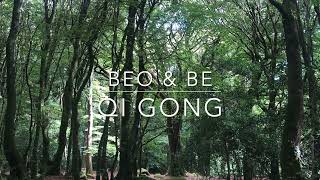 Qi Gong for Gravity