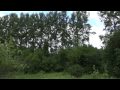 Old+orchard+next+to+the+Don+river+and+farmlands+for+sale.+Russia.
