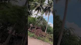 Live Video Viral