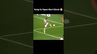 Kung-Fu Yapan Mert Günok