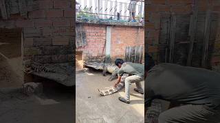 Because Of Its Size, This Crocodile Is Quite Challenging To Capture