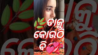 Jou Manisa Sabu Bele Sabdheya Kare New Sad Shayari Video Miss Roji Love Story