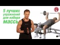 Эффективный тренинг (Владимир Молодов) Эффективный тренинг (Владимир Молодов)