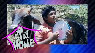 Stay Home | 08 - 05 - 2020 | Siyatha TV
