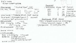 Non-Depolarizing Nmb 3 - Rocuronium, Cisatracurium, Reversal Agents