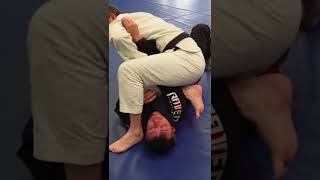 Knee On Belly Armlocks