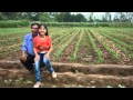 CHUYỆN TÌNH LAN VÀ ĐIỆP - Bé Quỳnh Nh... CHUYỆN TÌNH LAN VÀ ĐIỆP - Bé Quỳnh Nh...