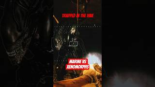 Marine Trapped With Xenomorphs - Avp 2010
