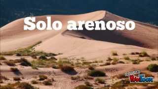 Estudo do Meio 3º ano - Tipos de solos