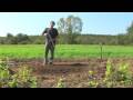 Vegetable Gardening : Growing Organic Vegetables in a Raised Bed Garden