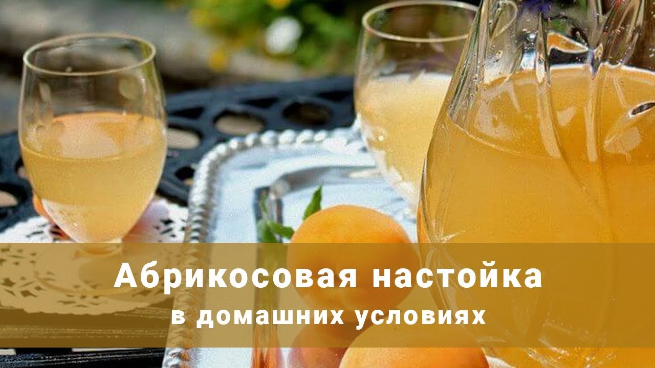 Настойка из абрикосов в домашних условиях на водке Настойка из абрикосов в домашних условиях на водке