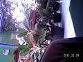 Abah Uci 2 images Abah Uci 2