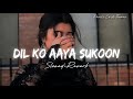Dil Ko Aaya Sukoon (Slowed+Reverb) | Rahat Fateh Ali Khan | Devil's Lo-fi Themes