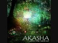 Akasha - Into the Web EP (2013)