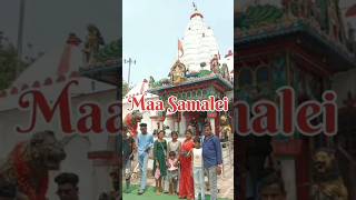 Sambalpur Video Maa Samalei Vlog