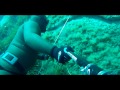 vidéos chasse sous marine hd
