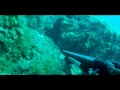 vidéos chasse sous marine hd