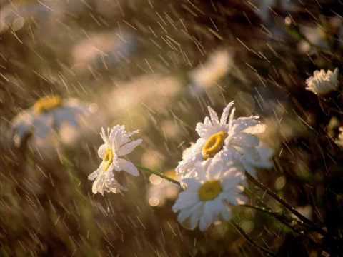 RHTDM- love is in the rain.wmv