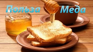 Мед польза при ежедневном употреблении