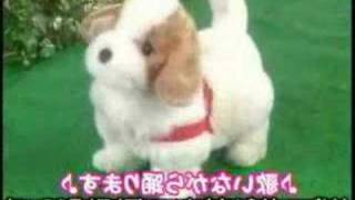 日本直販 愛犬ロボ「てつ」  