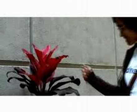 Annemarie - Apple (suicide on your stereo set)