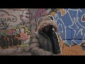 AKWAABA - Star Vicy (Prod By Roy96 "N" C Chameleon) Vibes Video AKWAABA - Star Vicy (Prod By Roy96 "N" C Chameleon) Vibes Video