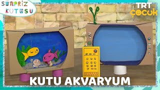 SÜRPRİZ KUTUSU | KUTU AKVARYUM | TRT ÇOCUK