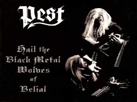 Possessed Wolves` Howling Video