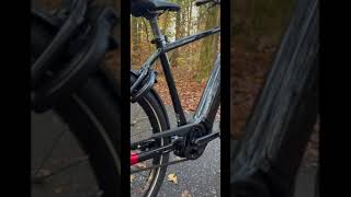 The Koga Pace