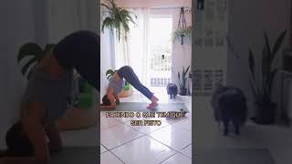 O Que Te Motiva? Minha Evolução No Yoga.