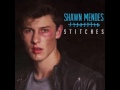Shawn Mendes - Stitches [MP3 Free Download]