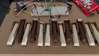 Edible Midi Keyboard