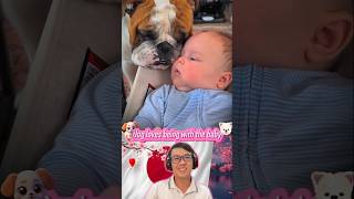 Dog Loves Being With The Baby