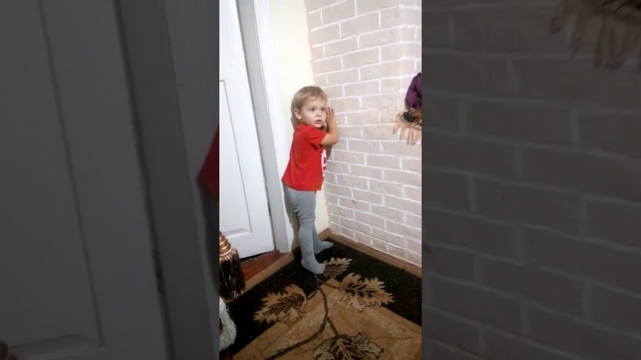 Самка стала в угол