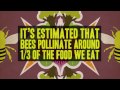 9 Facts That Prove Bees Are Awesome