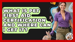 What Is Pet First Aid Certification And Where Can I Get It? - Animal Care Jobs