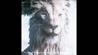 Kiros. Song Is Fire Literally My Fav Song Of The Movie