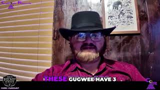 Discovering Gugwe The Face-Eating Cryptid Explained