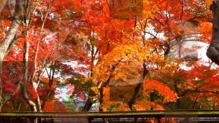 Watch Eric Carmen Someday video