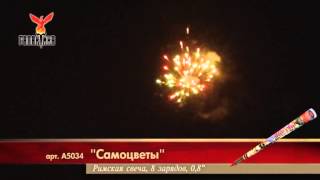 A5034 Samotsvety A5034 Samotsvety