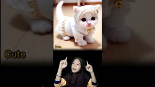 Cute Kitten Wearing Muslim Clothes And Hijab.