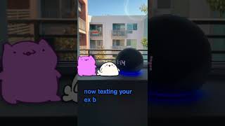 Tango And Cece Meet Alexa