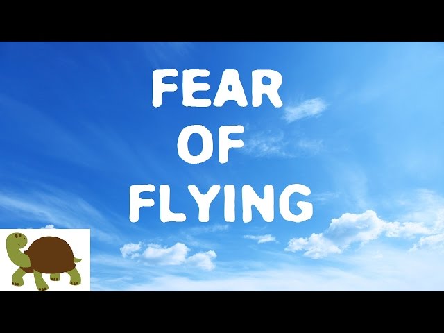 What It’s Like To Fly With A Fear Of Flying - Video