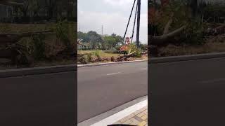 Ql50 Đang Đẩy Nhanh Tiến Độ Kdc Phong Phú 4