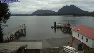 Tofino Sea Kayaking Live Harbour Cam