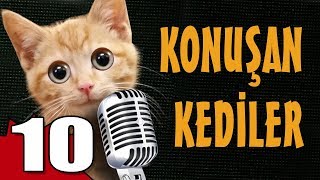 Konuşan Kediler 10 - En Komik Kedi ları