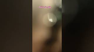 Rotina Da Noite